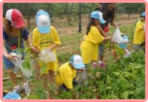 永旺CSR活動(圖4)