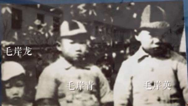 【HEF黨建小課堂100講】第七十講：“打仗總是要死人的……不要因為是我的兒子，就當成一件大事”(圖4)