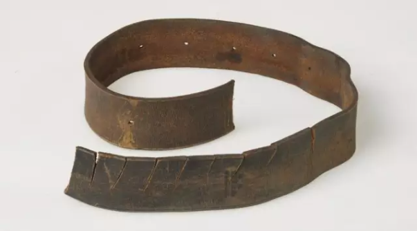 【HEF黨建小課堂100講】第七十九講：吃剩下的半條皮帶，這些都是他們舍不得吃的口糧(圖9)