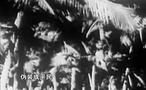 【HEF黨建小課堂100講】第八十四講：蓋芭蕉葉睡覺，背著嬰兒行軍，她們是真實的“紅色娘子軍”……(圖14)