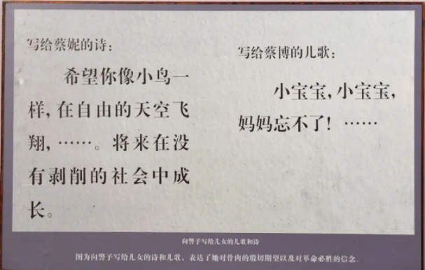 【HEF黨建小課堂之人物篇】她被稱為“革命的老祖母”,犧牲時卻只有33歲(圖11) 圖片
