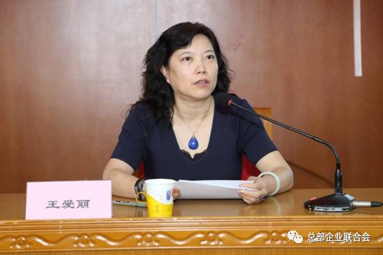 2017朝陽區跨國公司地區總部工作會成功召開(圖4)