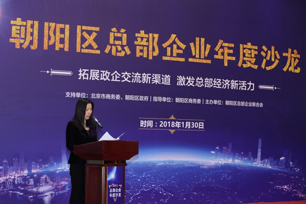 朝陽區總部企業年度沙龍成功舉辦(圖4) 朝陽區總部企業年度沙龍成功舉辦(圖4)