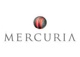 摩科瑞（中國）投資有限公司