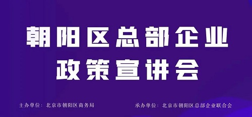 朝陽區總部企業政策宣講會舉辦，助力總部經濟高質量發展(圖1)